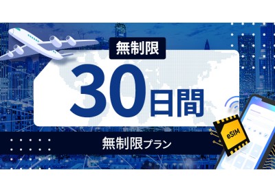 アラブ首長国連邦 無制限 / 30日間